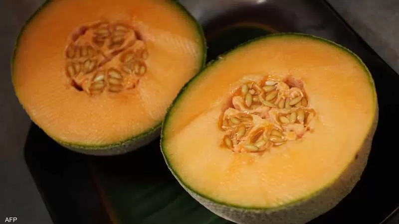 أكل المزيد من الشمام في هذا الصيف يعتبر اضافة ضرورية.. إليك السبب
