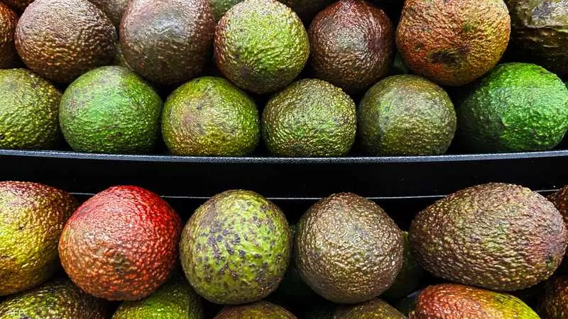 The Rise of Gourmet Street Food: Trends and Top Picks