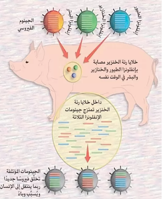 Spain records first case of African swine fever and suspends exports to China.