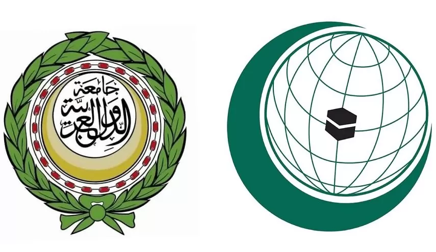 Arab League and OIC call for international action to stop Israeli crimes