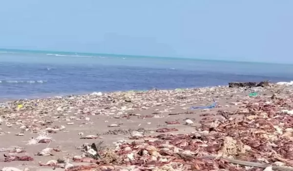 The Rise of AI-Powered Personal Assistants: How They Manage