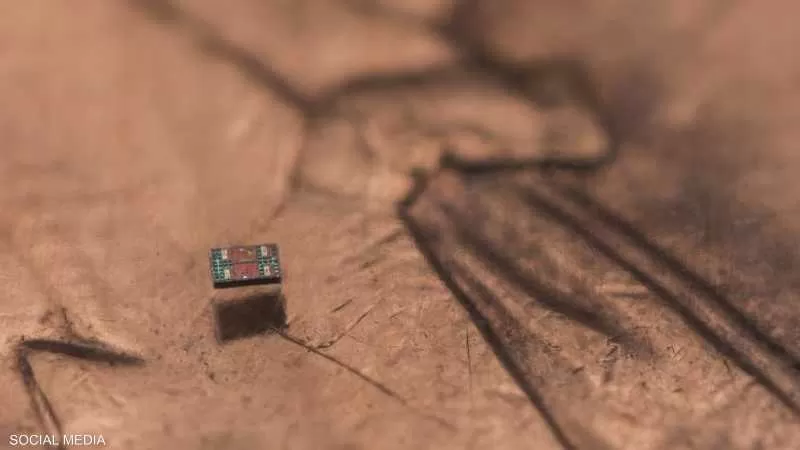 علماء يبتكرون روبوتاً أصغر من حبة ملح يمكنه "التفكير والتصرّف"